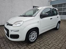 Weiß Gebraucht 2019 Fiat Panda Easy Limousine | 7.950 € (Fairer Preis)