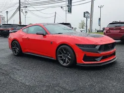 Rot Neu 2025 Ford Mustang Dark Horse | 91.800 € (Etwas zu teuer)