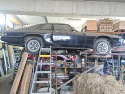 Schwarz Gebraucht 1978 Jaguar XJS Coupé | 4.300 €
