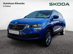 Blau Gebraucht 2020 Skoda Karoq Ambition SUV | 20.870 € (Fairer Preis)