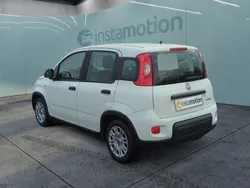 Weiß Neu 2024 Fiat Panda Kleinwagen | 12.499 € (Guter Preis)