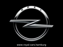 Grau Gebraucht 2010 Opel Zafira Van / Kleinbus | 7.990 €