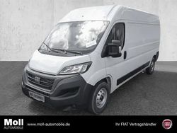 Weiss (pastell)) (weiss Gebraucht 2023 Fiat Ducato Van | 24.980 € (Fairer Preis)