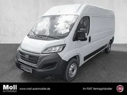 Weiss (pastell)) (weiss Gebraucht 2023 Fiat Ducato Van | 28.980 € (Teuer)