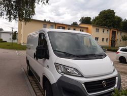 Weiß Gebraucht 2015 Fiat Ducato Van | 10.100 € (Fairer Preis)