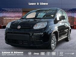 Gebraucht 2024 Fiat Panda Kleinwagen | 13.480 € (Guter Preis)