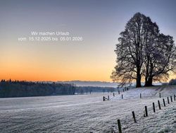 Gelb Gebraucht 1994 Porsche 993 Coupé | 97.993 €