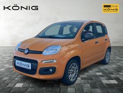 Orange Gebraucht 2019 Fiat Panda Easy Kleinwagen | 9.998 € (Fairer Preis)