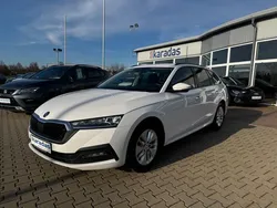 Weiß Gebraucht 2021 Skoda Octavia Kombi | 19.650 € (Fairer Preis)