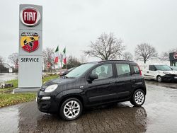 Schwarz Gebraucht 2013 Fiat Panda Lounge Limousine | 6.290 € (Fairer Preis)