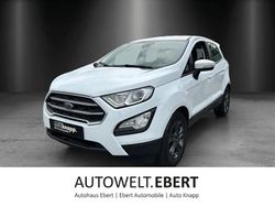 Frostweiß Gebraucht 2020 Ford Ecosport Trend SUV | 15.990 € (Etwas zu teuer)