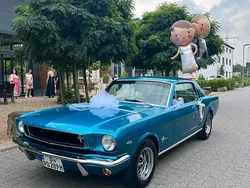 Blau Gebraucht 1966 Ford Mustang Coupé | 29.900 €