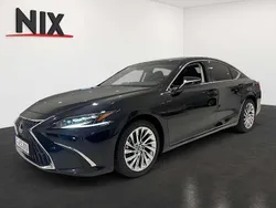 Graphite black Neu 2024 Lexus ES300 Luxury Line Limousine | 69.900 €
