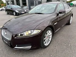 Violet Gebraucht 2014 Jaguar XF Limousine | 10.900 € (Fairer Preis)