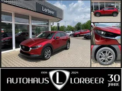 Rot Gebraucht 2020 Mazda CX-30 Selection SUV | 19.990 € (Fairer Preis)