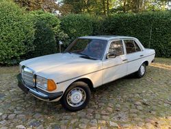 Weiß Gebraucht 1980 Mercedes 240 Limousine | 18.900 €