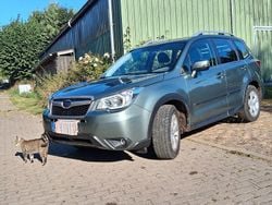 Grün Gebraucht 2015 Subaru Forester Exclusive+ SUV | 12.900 € (Fairer Preis)