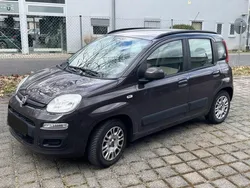 Braun Gebraucht 2012 Fiat Panda Kleinwagen | 4.100 € (Fairer Preis)