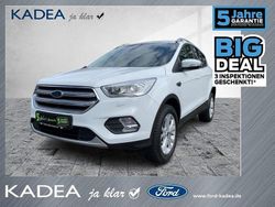 Frostweiß Gebraucht 2019 Ford Kuga Titanium SUV | 19.460 € (Fairer Preis)