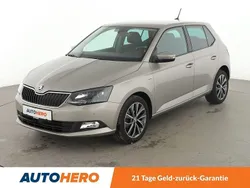 Grau Gebraucht 2017 Skoda Fabia Clever Kleinwagen | 13.030 € (Fairer Preis)