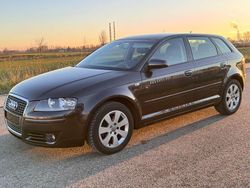 Grau Gebraucht 2004 Audi A3 Sportback Ambiente Kleinwagen | 4.990 € (Fairer Preis)