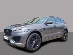 Corris grey Gebraucht 2019 Jaguar F-Pace R-Sport SUV | 34.422 € (Etwas zu teuer)