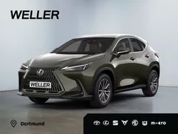 Grün Neu 2025 Lexus NX450h+ E-FOUR Executive Line SUV | 70.940 € (Etwas zu teuer)
