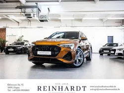 Ipanemabraun audi exclusive Gebraucht 2023 Audi e-tron Exclusive SUV | 43.785 € (Fairer Preis)