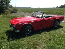 Rot Gebraucht 1967 Triumph TR4 Cabrio | 22.999 €