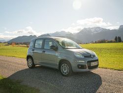 Grau Gebraucht 2020 Fiat Panda Kleinwagen | 8.350 € (Superpreis)