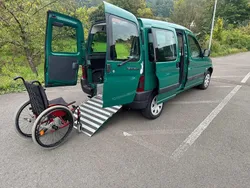 Grün Gebraucht 2002 Peugeot Partner Van / Kleinbus | 4.900 €