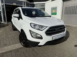 Frostweiß Gebraucht 2019 Ford Ecosport SUV | 11.890 € (Guter Preis)