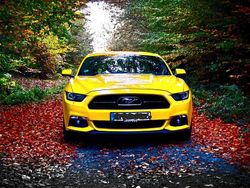 Gelb Gebraucht 2015 Ford Mustang | 22.000 € (Fairer Preis)