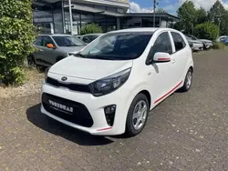 Weiß Gebraucht 2019 Kia Picanto Kleinwagen | 11.990 € (Fairer Preis)