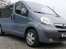 Storm blue g6v Gebraucht 2011 Opel Vivaro Van | 14.990 € (Teuer)