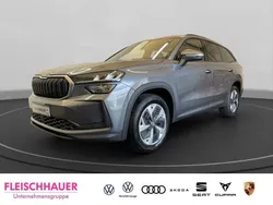 Grau Neu 2025 Skoda Kodiaq Selection SUV | 47.660 € (Etwas zu teuer)