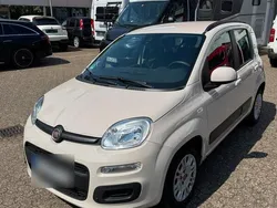 Beige Gebraucht 2013 Fiat Panda Kleinwagen | 5.900 € (Fairer Preis)