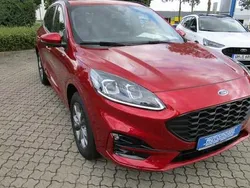 Rot Gebraucht 2024 Ford Kuga ST-Line X SUV | 41.990 € (Teuer)