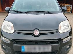 Schwarz Gebraucht 2013 Fiat Panda Kleinwagen | 4.200 € (Fairer Preis)
