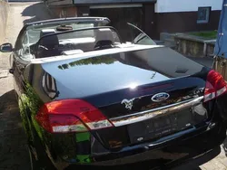 Schwarz Gebraucht 2010 Ford Focus Cabriolet Cabrio | 6.500 € (Teuer)