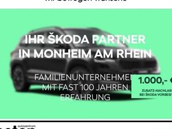 Grau Gebraucht 2025 Skoda Kodiaq RS SUV | 56.990 € (Fairer Preis)