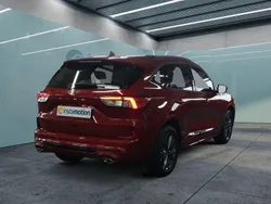 Rot Gebraucht 2024 Ford Kuga SUV | 28.899 € (Guter Preis)