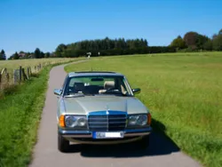 Grün Gebraucht 1981 Mercedes E230 Limousine | 7.777 €