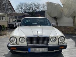 Weiß Gebraucht 1982 Jaguar XJ6 Sovereign Limousine | 12.500 €