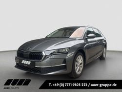 Grau Gebraucht 2024 Skoda Octavia Selection Kombi | 29.290 € (Superpreis)