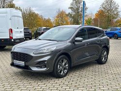 Grau Gebraucht 2024 Ford Kuga ST-Line X SUV | 31.950 € (Guter Preis)