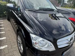 Mercedes Viano