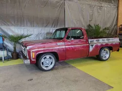 Rot Gebraucht 1979 Chevrolet C10 SUV | 28.500 €