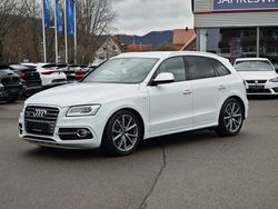 Weiß Gebraucht 2017 Audi SQ5 Competition SUV | 21.900 € (Guter Preis)