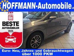 Graumet. Gebraucht 2013 Seat Leon Limousine | 4.900 € (Etwas zu teuer)